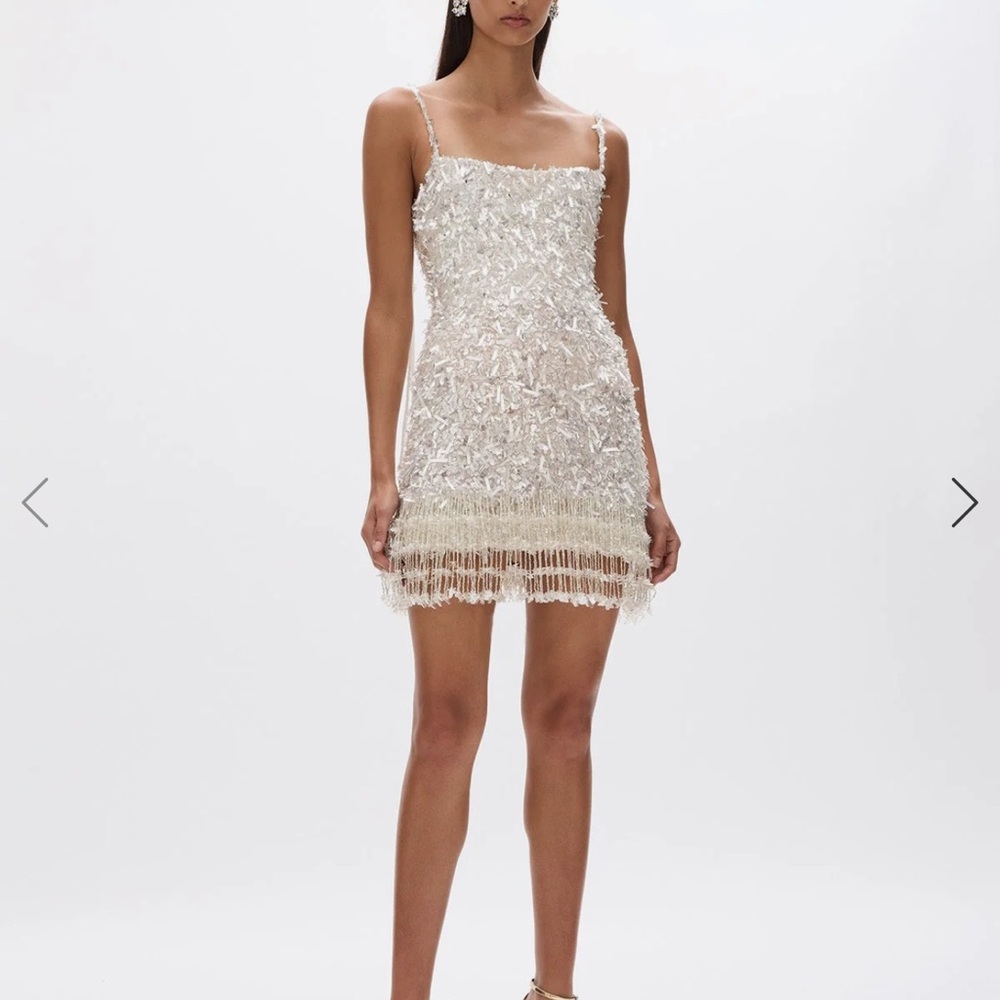 Rachel Gilbert Silver Sequin Backless Dress